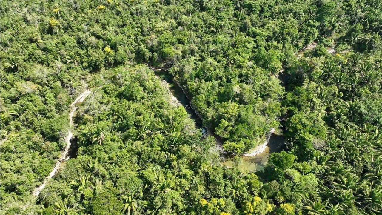 New jungle Lot on the mainland 4