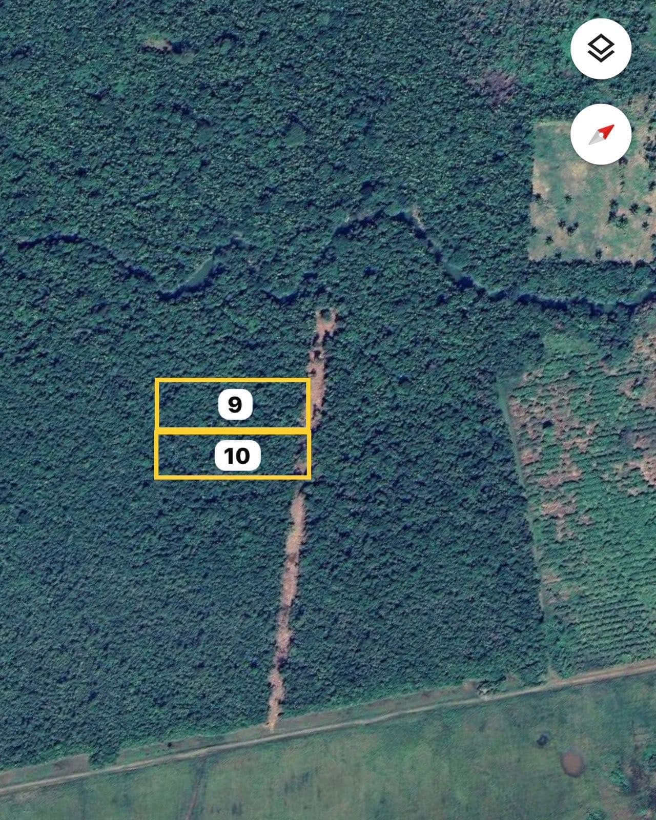New jungle Lot on the mainland 5