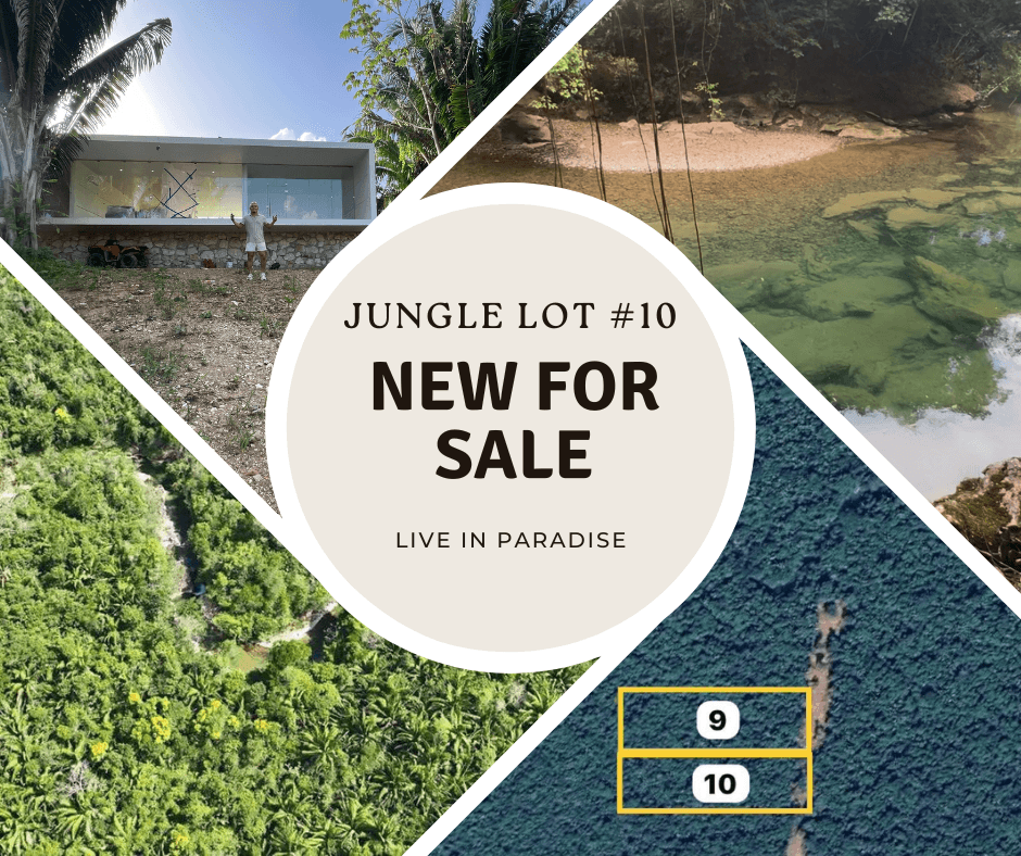 New jungle Lot on the mainland