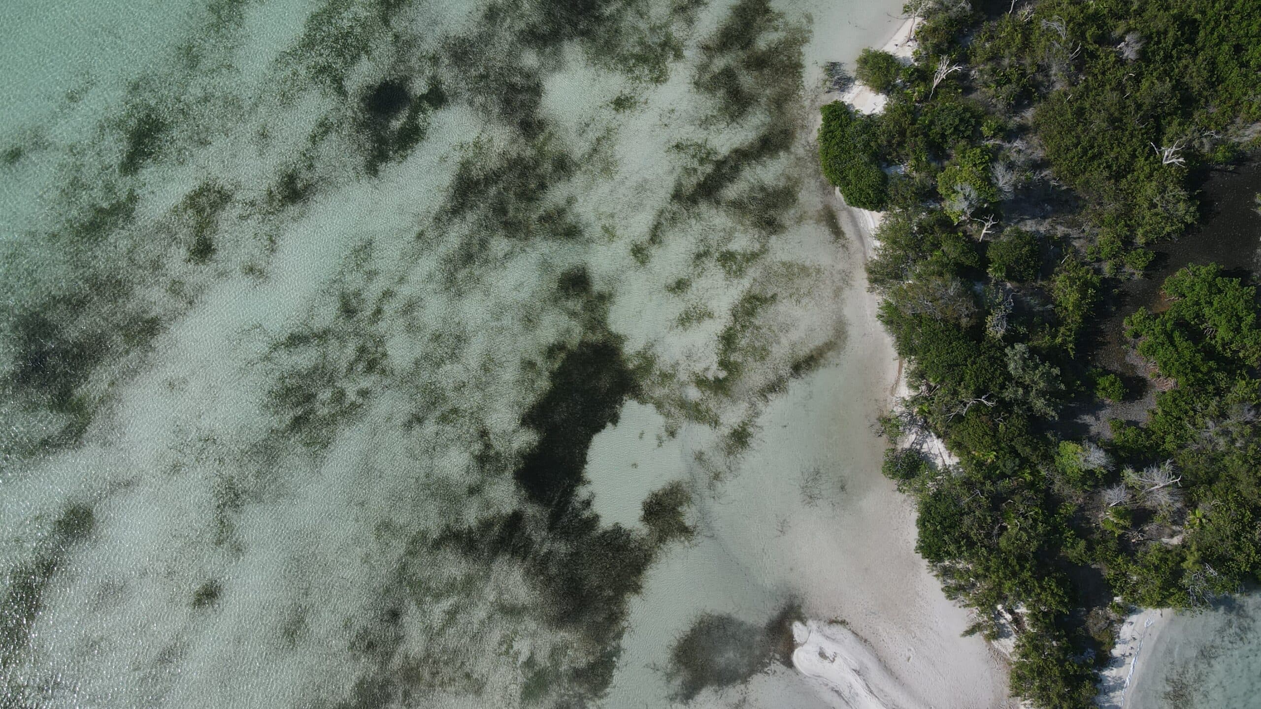 Property North Bay Secret Beach with road access 5