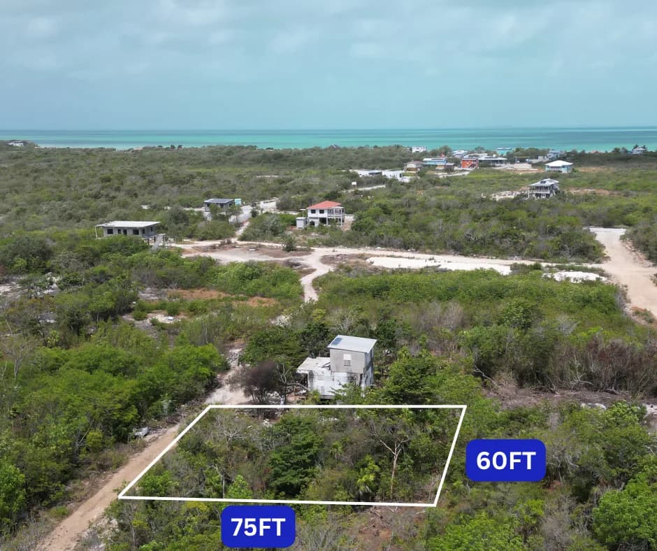 GRAND BELIZEAN ESTATE LOT 7188 5