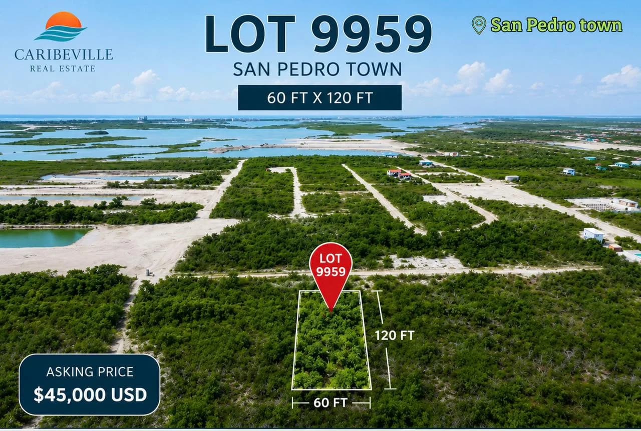 GRAND MAYAN ESTATE LOT 9959