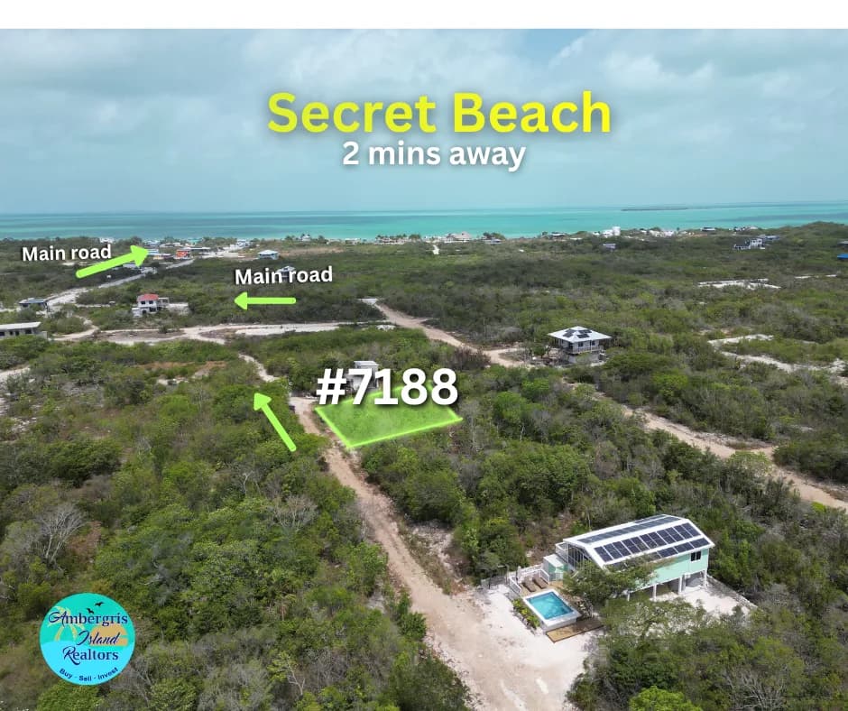 GRAND BELIZEAN ESTATE LOT 7188 3