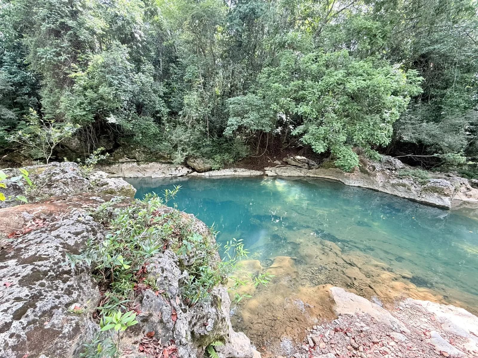 1 ACRE RIVER FRONT PROPERTY 5