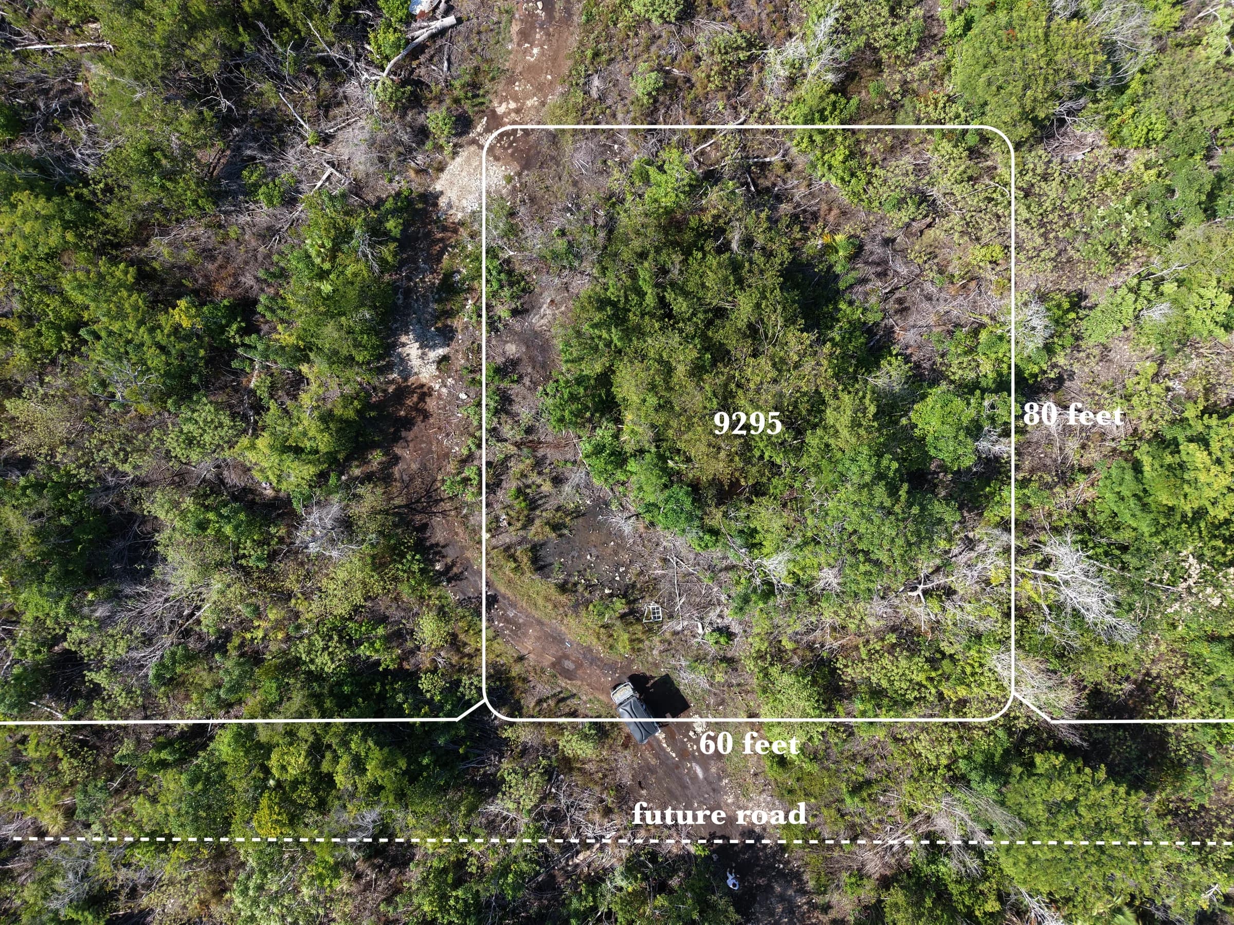 COLONIA SAN DIEGO LOT 9295
